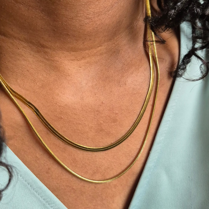 Double Layer Herringbone Necklace