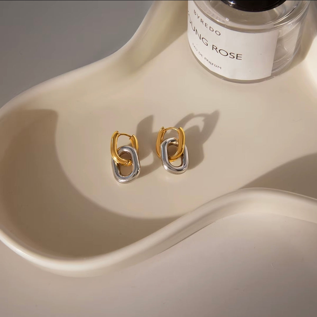 Mixed Link Earrings