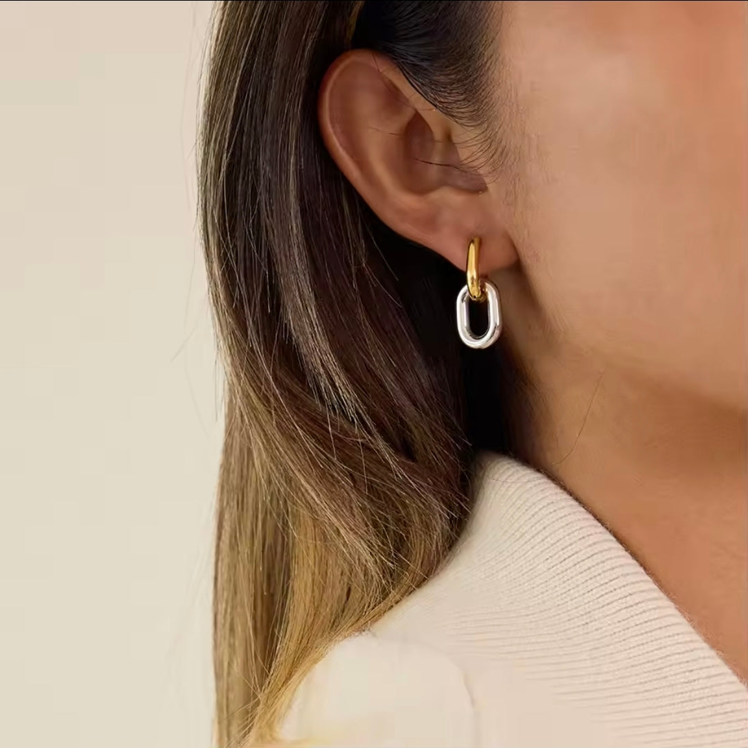 Mixed Link Earrings