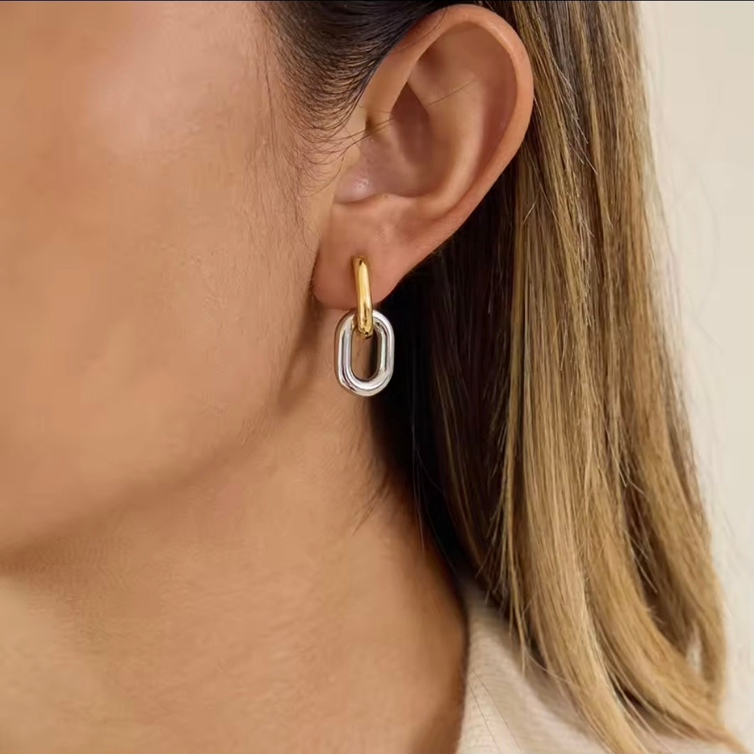 Mixed Link Earrings