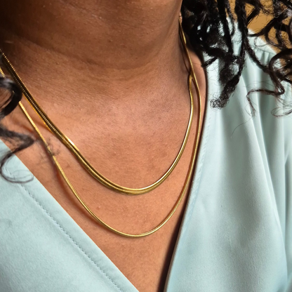 Double Layer Herringbone Necklace