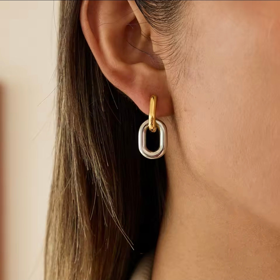 Mixed Link Earrings
